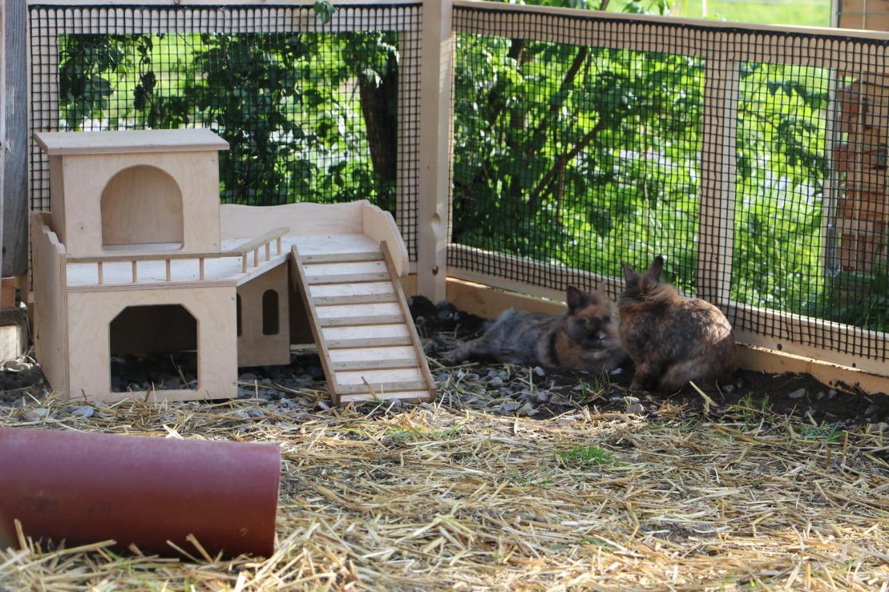 ショペルナウFerienbauernhof Moosbruggerアパートメント エクステリア 写真