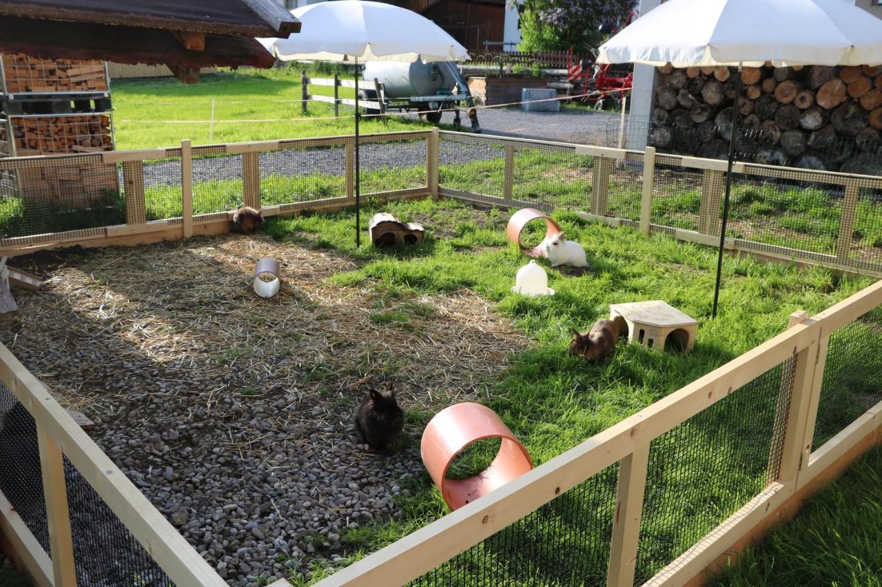ショペルナウFerienbauernhof Moosbruggerアパートメント エクステリア 写真