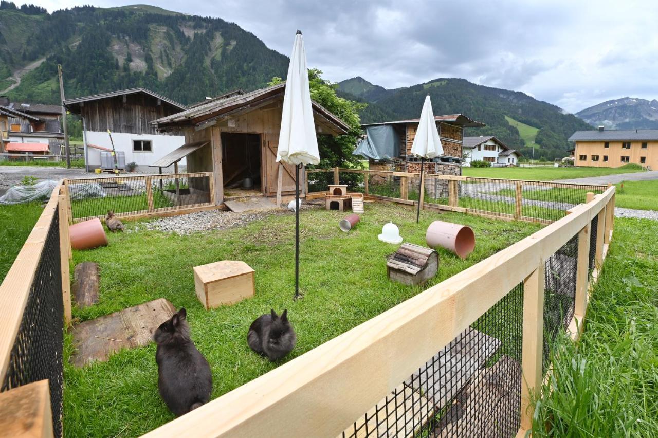 ショペルナウFerienbauernhof Moosbruggerアパートメント エクステリア 写真