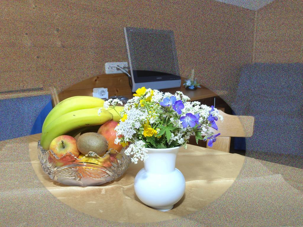 ショペルナウFerienbauernhof Moosbruggerアパートメント 部屋 写真